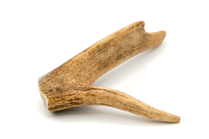 Deer Antler Dog Chew S 51 - 75g