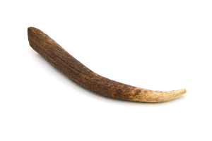 Deer Antler Dog Chew M 76 - 150g