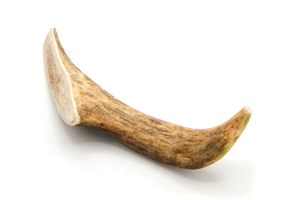 Deer Antler Dog Chew L 151 - 225g