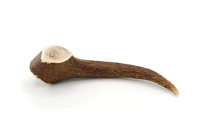 Deer Antler Dog Chew XL 226 - 270g