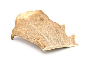 Fallow Antler Dog Chew M 151 - 220g