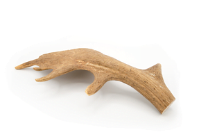 Fallow Antler Dog Chew L 221 - 300g