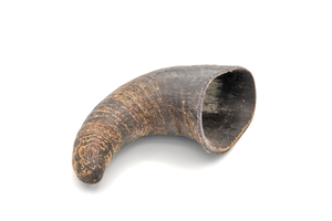 Buffalo Horn Dog Chew XS 30 - 99g