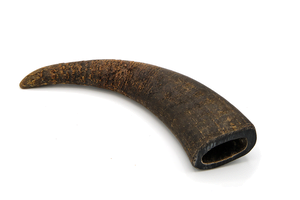 Buffalo Horn Dog Chew   S  100 - 250g