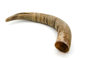 Cattle Horn Dog Chew M 201 - 350g
