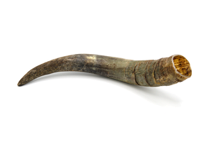 Cattle Horn Dog Chew L 351 - 500g