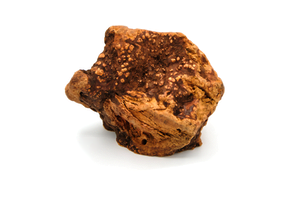 Heather Tree Root Dog Chew   M  301 - 500g