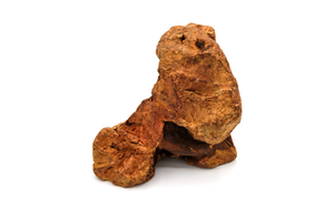 Heather Tree Root Dog Chew   XL  701 - 1000g
