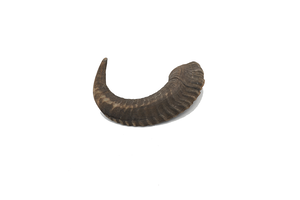 Ram Horn Dog Chew S 30 - 90g