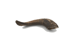 Ram Horn Dog Chew M 100 - 250g