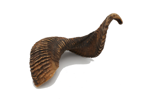 Ram Horn Dog Chew L 251 - 400g