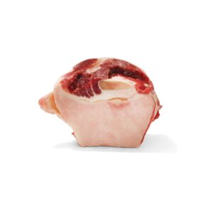 Knee Cap
