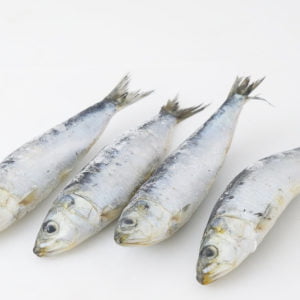 Sardines